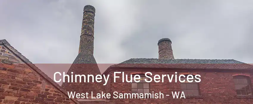 Chimney Flue Services West Lake Sammamish - WA