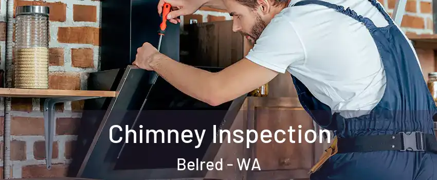 Chimney Inspection Belred - WA