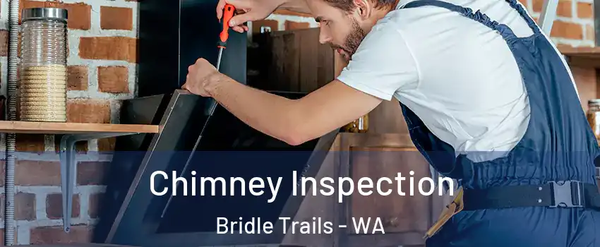 Chimney Inspection Bridle Trails - WA