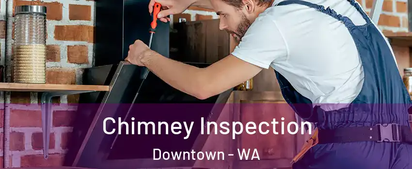 Chimney Inspection Downtown - WA