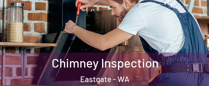 Chimney Inspection Eastgate - WA