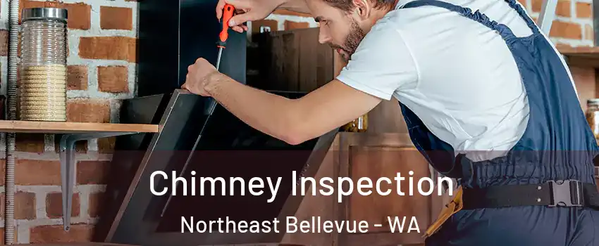 Chimney Inspection Northeast Bellevue - WA