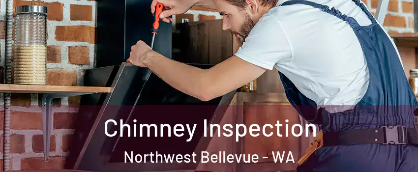 Chimney Inspection Northwest Bellevue - WA