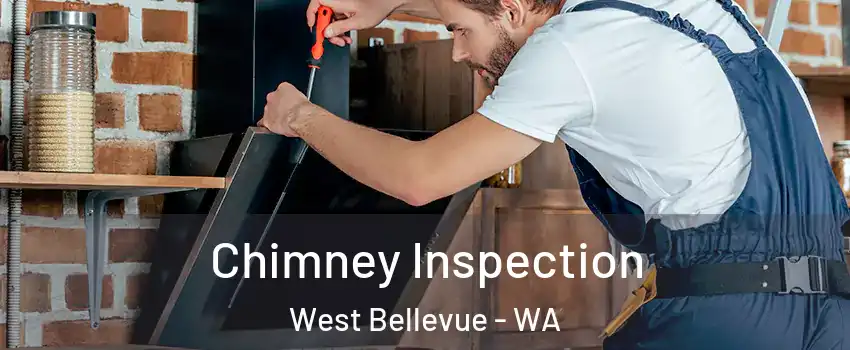 Chimney Inspection West Bellevue - WA