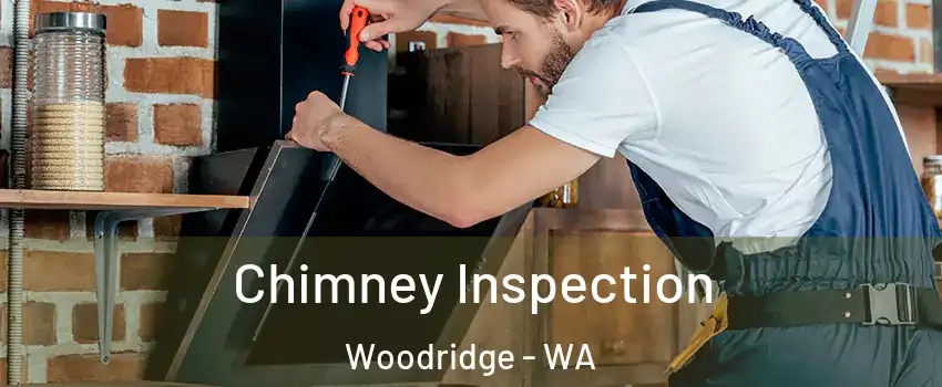 Chimney Inspection Woodridge - WA