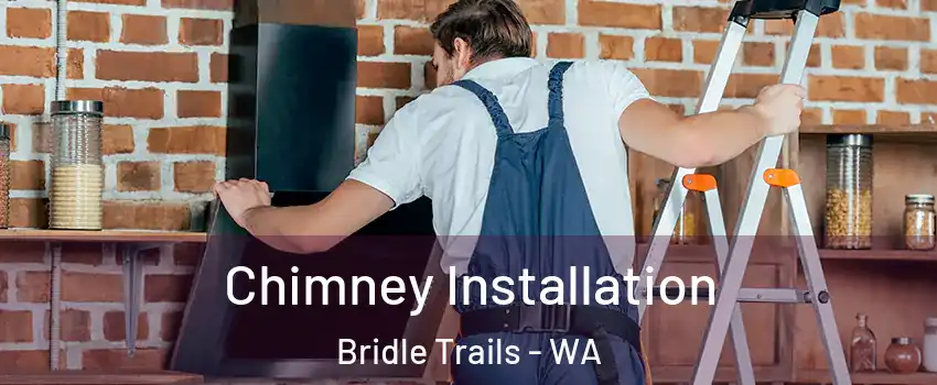 Chimney Installation Bridle Trails - WA