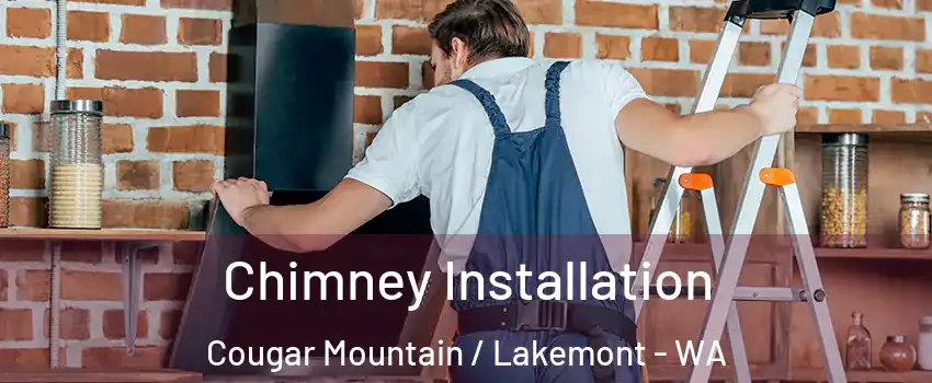 Chimney Installation Cougar Mountain / Lakemont - WA