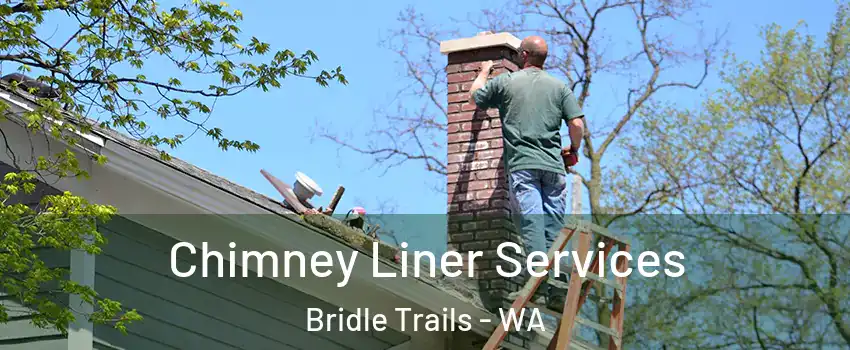 Chimney Liner Services Bridle Trails - WA