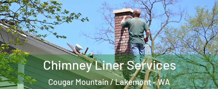 Chimney Liner Services Cougar Mountain / Lakemont - WA