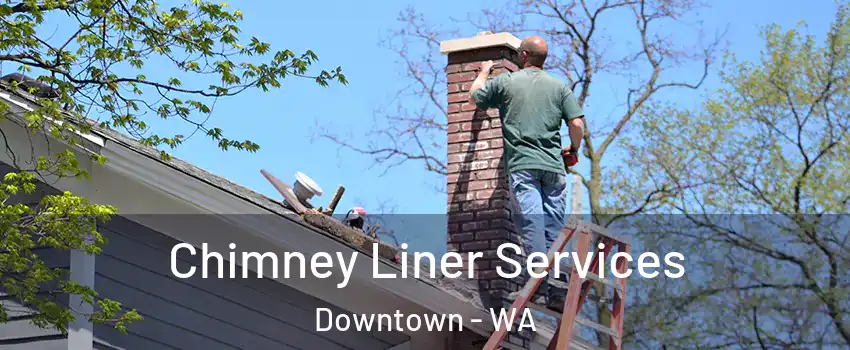 Chimney Liner Services Downtown - WA