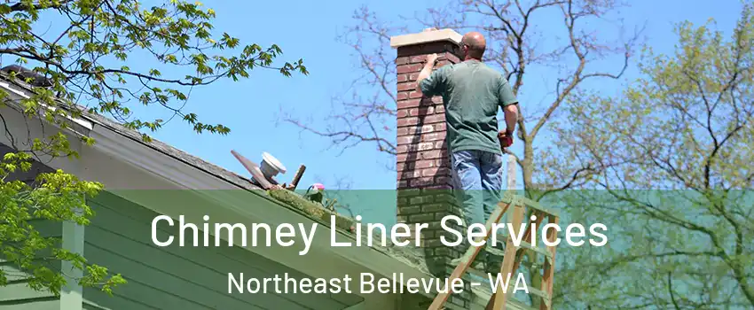 Chimney Liner Services Northeast Bellevue - WA