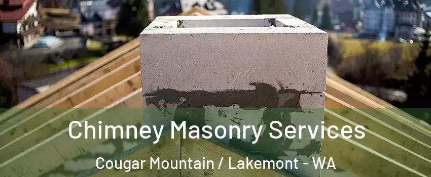 Chimney Masonry Services Cougar Mountain / Lakemont - WA