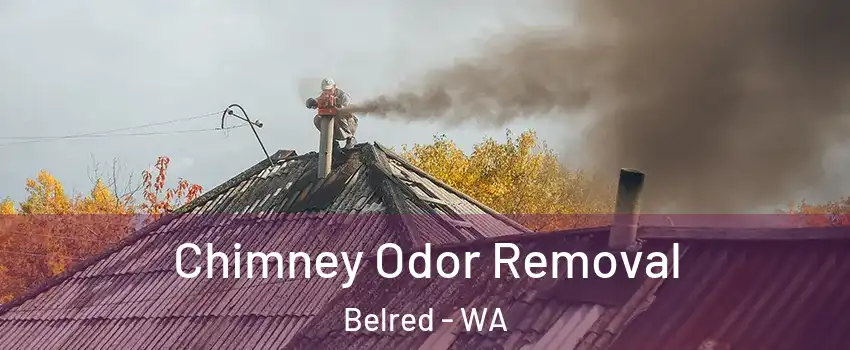 Chimney Odor Removal Belred - WA