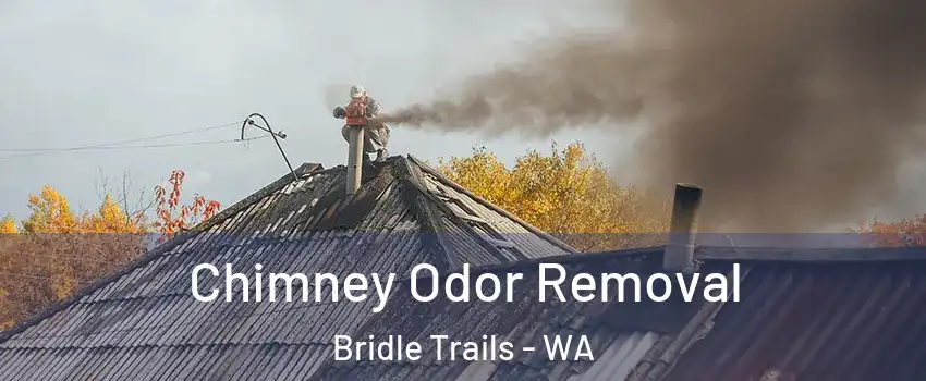 Chimney Odor Removal Bridle Trails - WA