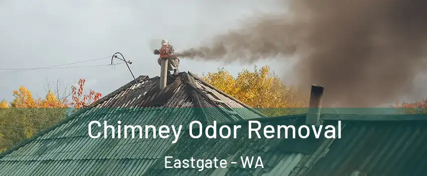 Chimney Odor Removal Eastgate - WA