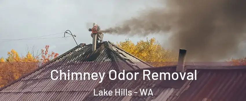 Chimney Odor Removal Lake Hills - WA