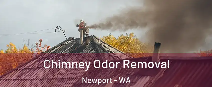 Chimney Odor Removal Newport - WA