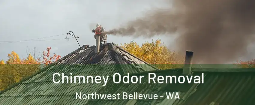 Chimney Odor Removal Northwest Bellevue - WA