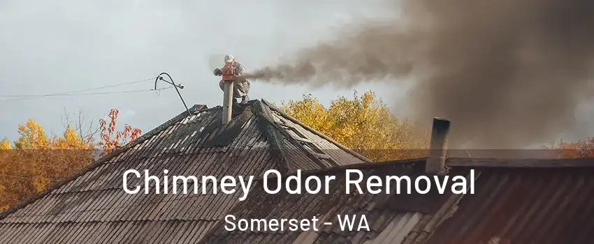 Chimney Odor Removal Somerset - WA