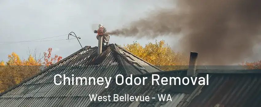 Chimney Odor Removal West Bellevue - WA