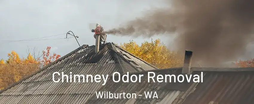 Chimney Odor Removal Wilburton - WA