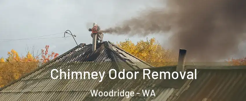 Chimney Odor Removal Woodridge - WA