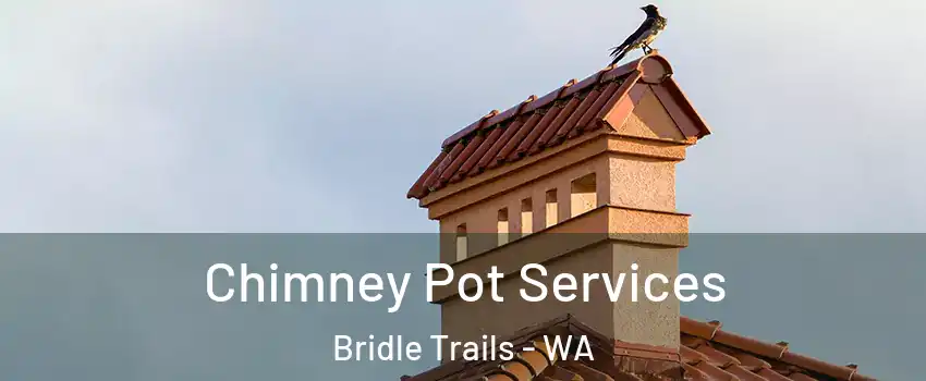 Chimney Pot Services Bridle Trails - WA