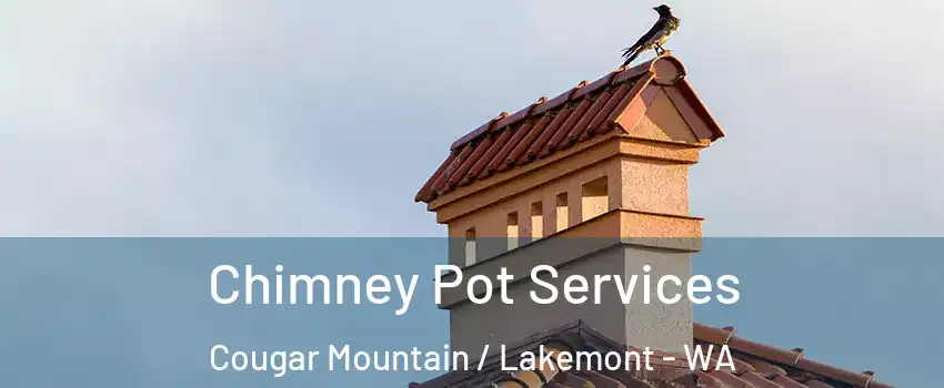 Chimney Pot Services Cougar Mountain / Lakemont - WA