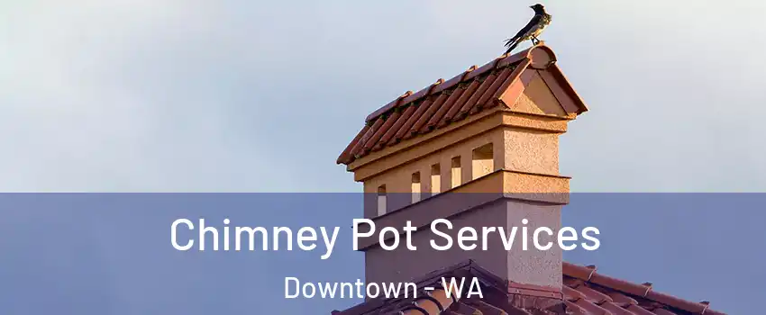 Chimney Pot Services Downtown - WA