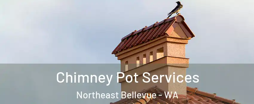 Chimney Pot Services Northeast Bellevue - WA