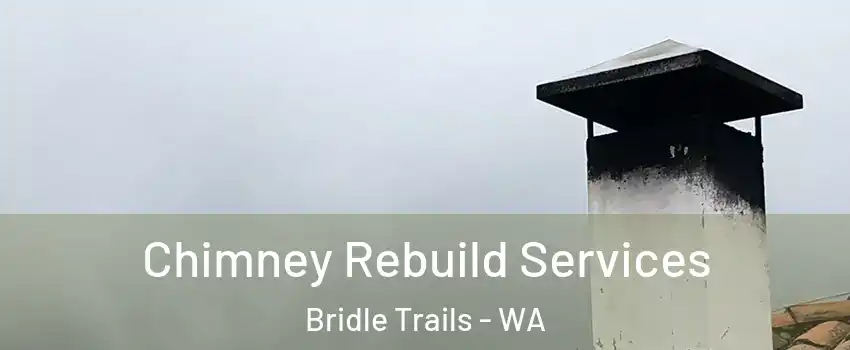 Chimney Rebuild Services Bridle Trails - WA