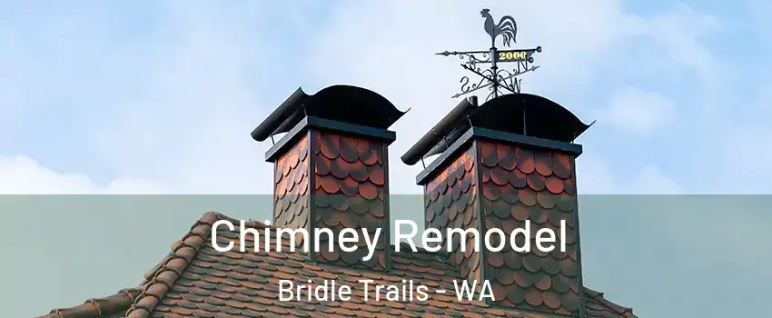 Chimney Remodel Bridle Trails - WA