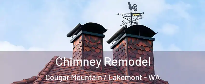 Chimney Remodel Cougar Mountain / Lakemont - WA