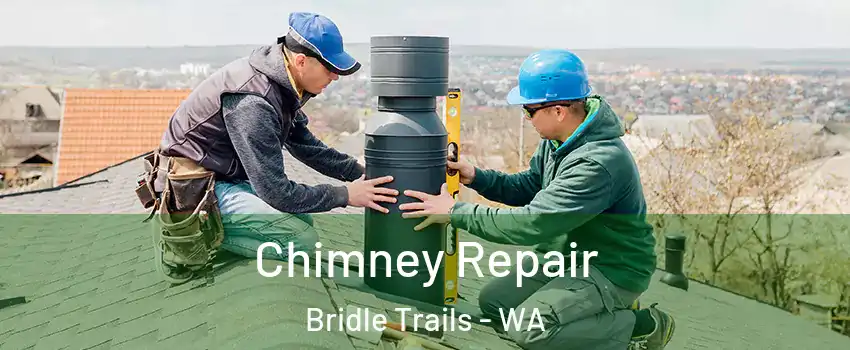 Chimney Repair Bridle Trails - WA