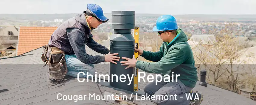 Chimney Repair Cougar Mountain / Lakemont - WA