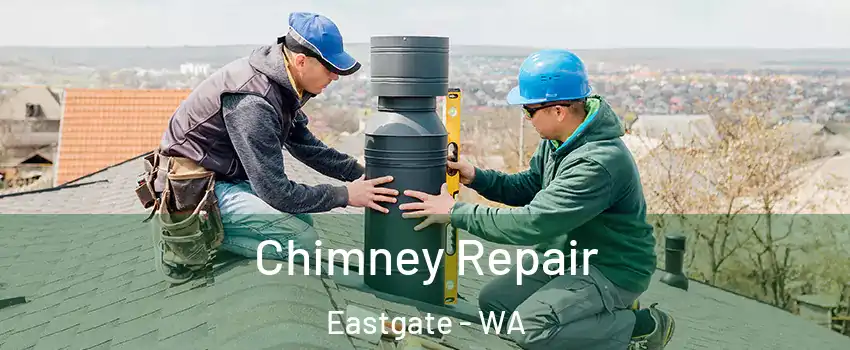 Chimney Repair Eastgate - WA