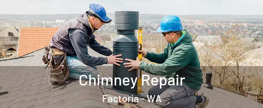 Chimney Repair Factoria - WA