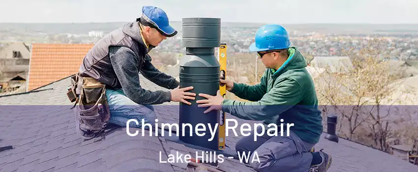 Chimney Repair Lake Hills - WA