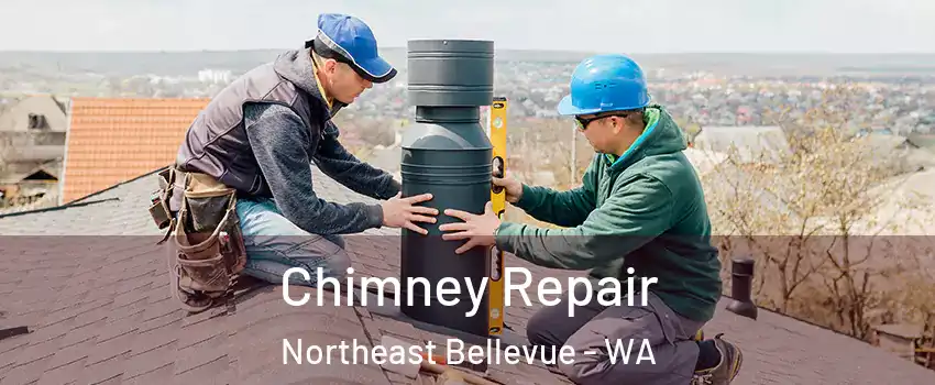 Chimney Repair Northeast Bellevue - WA