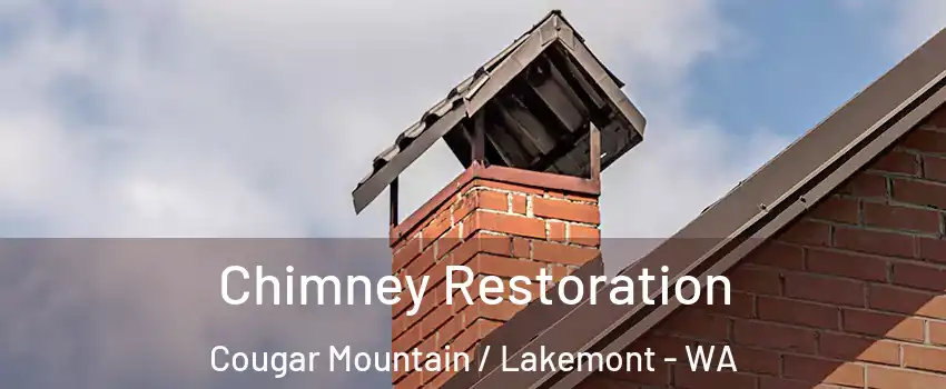 Chimney Restoration Cougar Mountain / Lakemont - WA