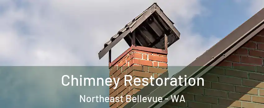 Chimney Restoration Northeast Bellevue - WA