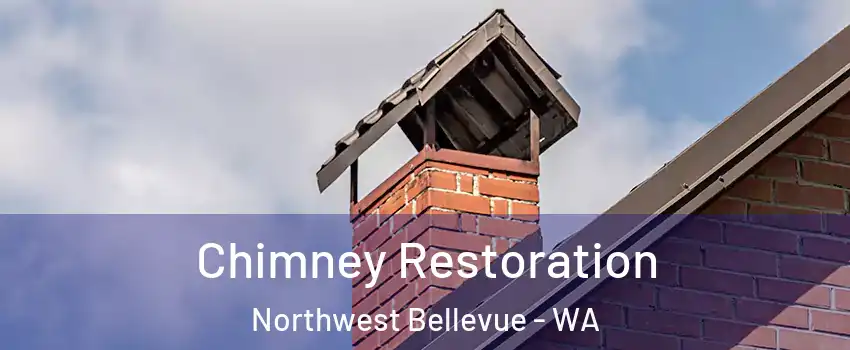 Chimney Restoration Northwest Bellevue - WA