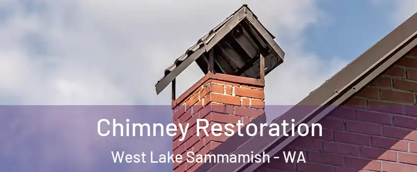 Chimney Restoration West Lake Sammamish - WA