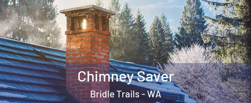 Chimney Saver Bridle Trails - WA