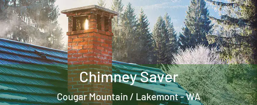 Chimney Saver Cougar Mountain / Lakemont - WA