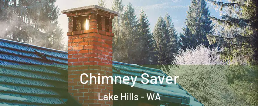 Chimney Saver Lake Hills - WA