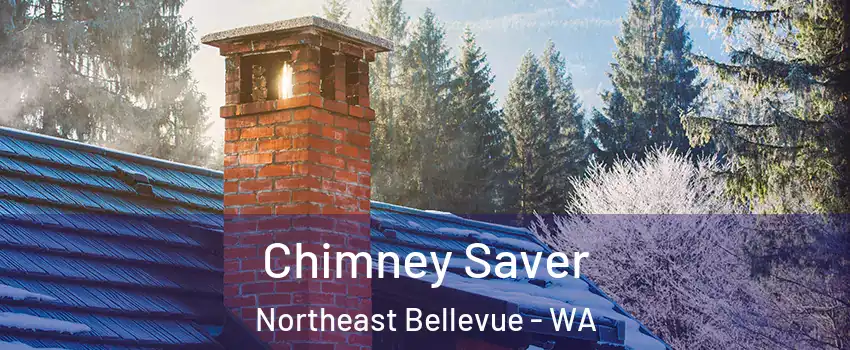 Chimney Saver Northeast Bellevue - WA