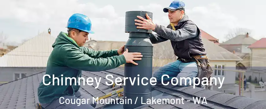 Chimney Service Company Cougar Mountain / Lakemont - WA