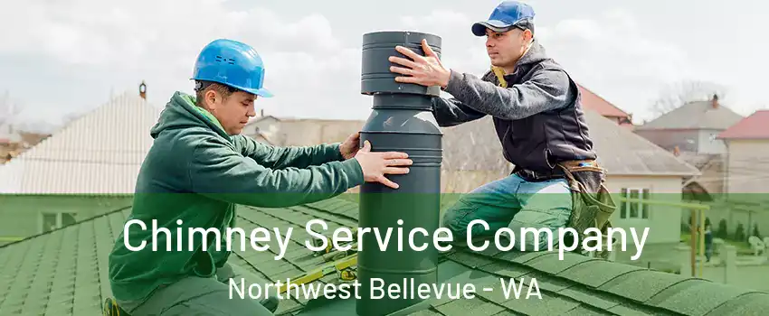 Chimney Service Company Northwest Bellevue - WA