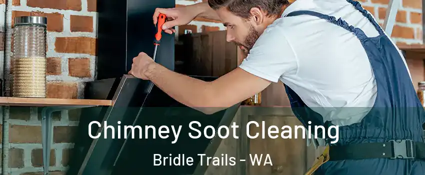 Chimney Soot Cleaning Bridle Trails - WA